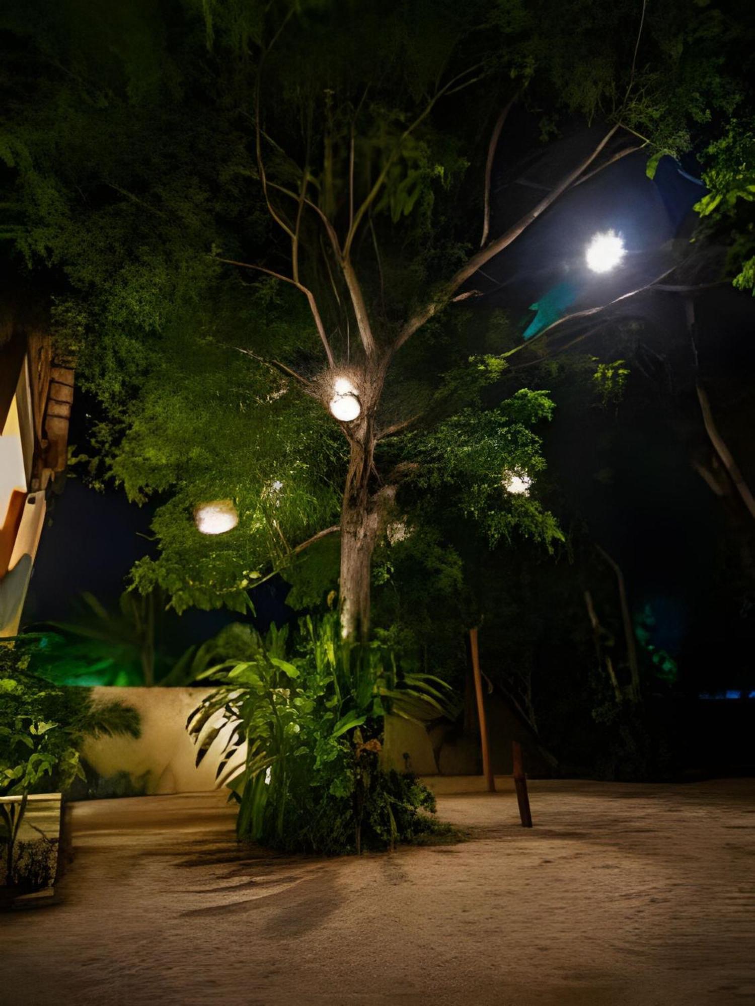 Апартаменты Casa De Piedra - Departamentos Bacalar- Экстерьер фото
